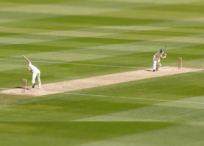 Cricket