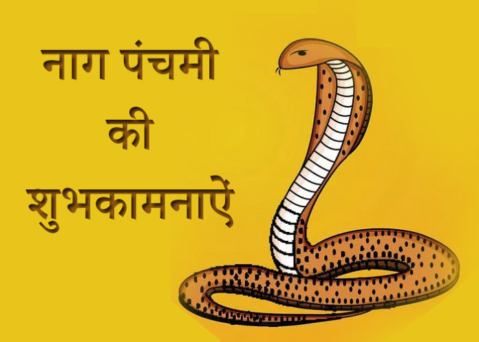 Nag panchmi