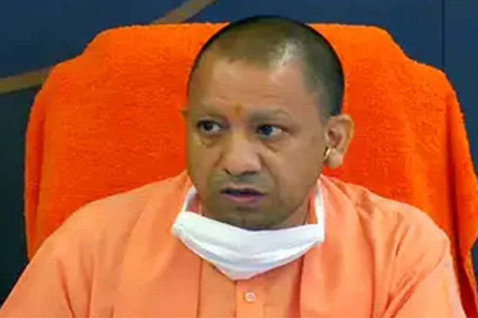 Yogi